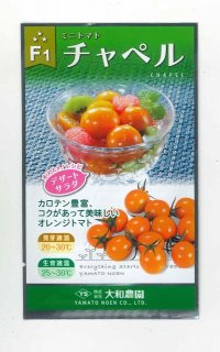 [トマト/ミニトマト]　チャペルトマト　25粒　大和農園
