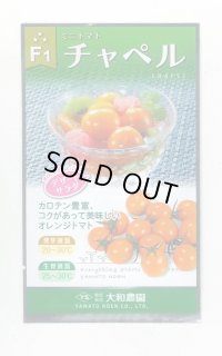 [トマト/ミニトマト] チャペルトマト 25粒 大和農園