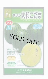 送料無料　[スイカ]　小玉スイカ　大和こだま西瓜　(黄色)　7粒　大和農園