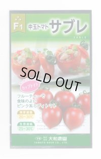 [トマト/中玉トマト] サブレトマト 18粒 大和農園