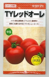 [トマト/中玉トマト]　TYレッドオーレ　1000粒　カネコ交配