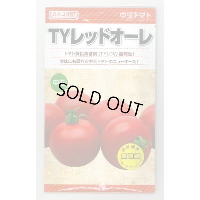 画像1: 送料無料　[トマト/中玉トマト]　TYレッドオーレ　1000粒　カネコ種苗（株）