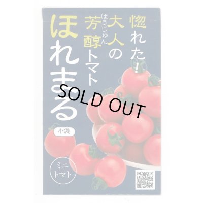 画像1: 送料無料　[トマト/ミニトマト]　ほれまる　13粒　渡辺農事（株）