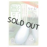 送料無料　[なす]　とろ-り旨なす(揚げてトルコ)　100粒　トキタ種苗(株)