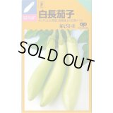 送料無料　[なす]　白長茄子　約60粒　中原採種場(株)
