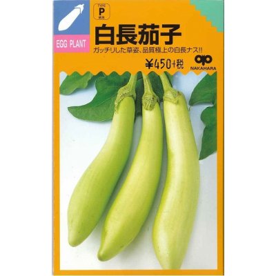 画像1: [なす]　白長茄子　約60粒　　中原採種場（株）