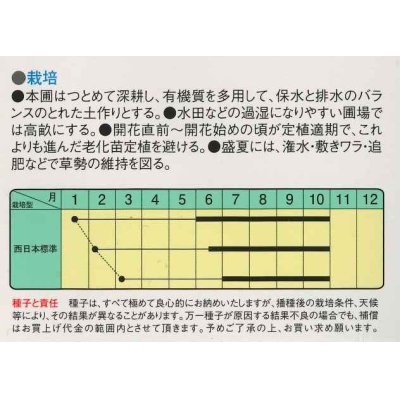 画像2: [なす]　白長茄子　約60粒　　中原採種場（株）