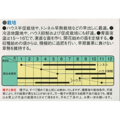 画像2: [ピーマン]　　グリーンベル　40粒　小袋　中原採種場（株）