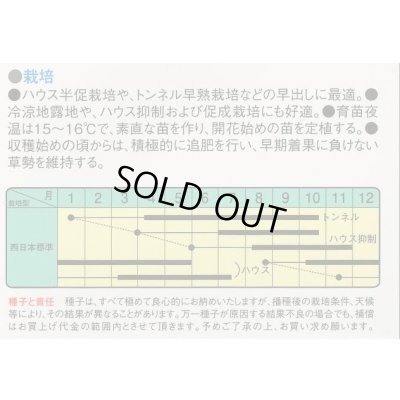 画像2: 送料無料　[ピーマン]　グリーンベル　40粒　小袋　中原採種場(株)