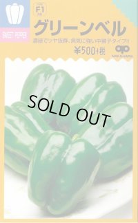 [ピーマン]　　グリーンベル　50粒　小袋　中原採種場