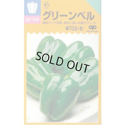 画像1: 送料無料　[ピーマン]　グリーンベル　40粒　小袋　中原採種場(株)