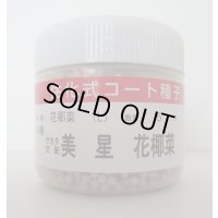 送料無料　[カリフラワー]　美星　ペレット5000粒　(株)サカタのタネ