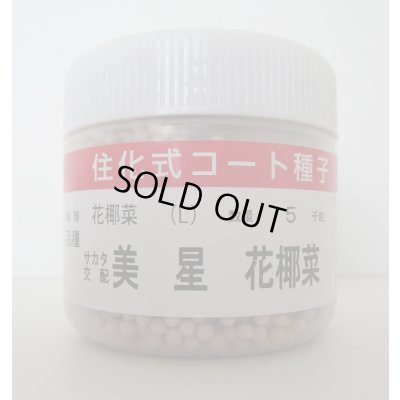 画像1: 送料無料　[カリフラワー]　美星　ペレット5000粒　(株)サカタのタネ