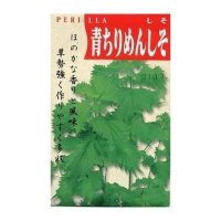 [葉物]　青ちりめんしそ　8ｍｌ   （株）タカヤマシード