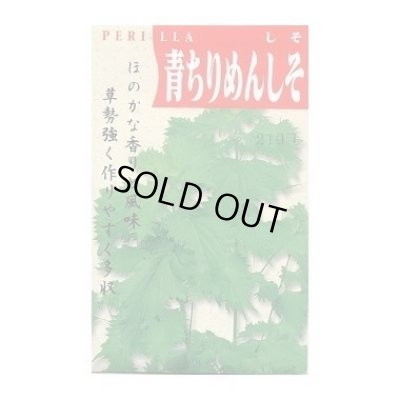 画像1: 送料無料　[葉物]　青ちりめんしそ　8ml　(株)タカヤマシード