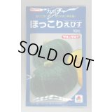 送料無料　[かぼちゃ]　ほっこりえびす　100粒　タキイ種苗(株)
