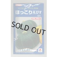 送料無料　[かぼちゃ]　ほっこりえびす　100粒　タキイ種苗(株)