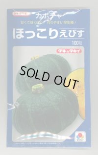 送料無料　[かぼちゃ]　ほっこりえびす　100粒　タキイ種苗(株)