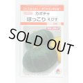 送料無料　[かぼちゃ]　ほっこりえびす　9粒　タキイ種苗(株)　RF