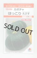 送料無料　[かぼちゃ]　ほっこりえびす　9粒　タキイ種苗(株)　RF