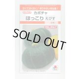 送料無料　[かぼちゃ]　ほっこりえびす　9粒　タキイ種苗(株)　RF