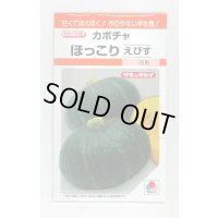 送料無料　[かぼちゃ]　ほっこりえびす　9粒　タキイ種苗(株)　RF