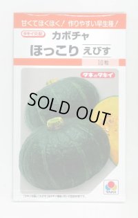 送料無料　[かぼちゃ]　ほっこりえびす　9粒　タキイ種苗(株)　RF