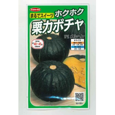 画像1: [かぼちゃ]　メルヘン　約10粒　サカタのタネ（株）　実咲400
