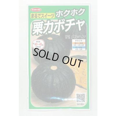 画像1: 送料無料　[かぼちゃ]　メルヘン　約10粒　(株)サカタのタネ　実咲450（002867）