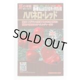 送料無料　[とうがらし]　ハバネロ・レッド　30粒　トキタ種苗(株)