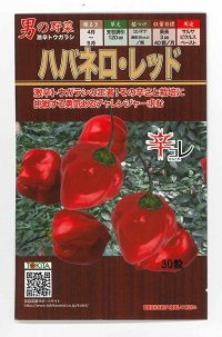 [とうがらし]　ハバネロ・レッド　30粒　トキタ種苗（株）