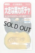 送料無料　[かぼちゃ]　くりほまれ　約7粒　(株)サカタのタネ　実咲450（002872）