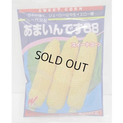 画像1: 送料無料[とうもろこし]　あまいんです88　2000粒　渡辺農事(株)