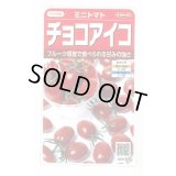 送料無料　[トマト/ミニトマト]　チョコアイコ　13粒　(株)サカタのタネ　実咲550（003244）