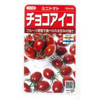 [トマト/ミニトマト]　チョコアイコ　13粒　サカタのタネ実咲