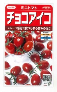 [トマト/ミニトマト]　チョコアイコ　13粒　サカタのタネ（株）実咲500