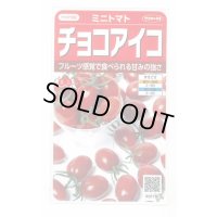 送料無料　[トマト/ミニトマト]　チョコアイコ　13粒　(株)サカタのタネ　実咲550（003244）