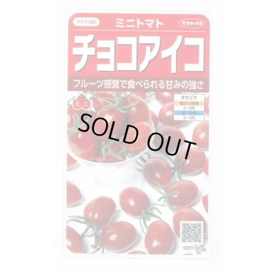 画像1: 送料無料　[トマト/ミニトマト]　チョコアイコ　13粒　(株)サカタのタネ　実咲550（003244）