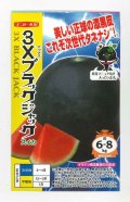 送料無料　[スイカ]　大玉スイカ　3Xブラックジャック　100粒　ナント種苗(株)