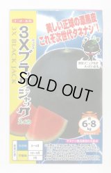 送料無料　[スイカ]　大玉スイカ　3Xブラックジャック　100粒　ナント種苗(株)