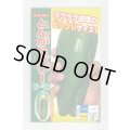 送料無料　[ピーマン]　とんがりパワー　500粒　ナント種苗(株)