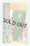 送料無料　[ピーマン]　とんがりパワー　500粒　ナント種苗(株)