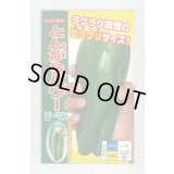 送料無料　[ピーマン]　とんがりパワー　500粒　ナント種苗(株)