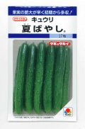 送料無料　[キュウリ]　夏ばやし　15粒　タキイ種苗　DF
