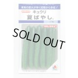 送料無料　[キュウリ]　夏ばやし　15粒　タキイ種苗　DF