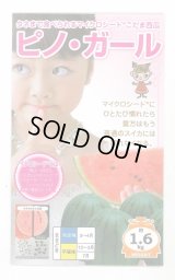 送料無料　[スイカ]　小玉スイカ　ピノガール　100粒　ナント種苗(株)