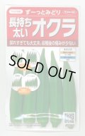送料無料　[オクラ]　ずーっとみどり　約40粒　(株)サカタのタネ　実咲350（003253）