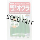 送料無料　[オクラ]　ずーっとみどり　約40粒　(株)サカタのタネ　実咲350（003253）