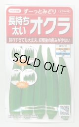 送料無料　[オクラ]　ずーっとみどり　約40粒　(株)サカタのタネ　実咲350（003253）