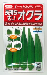 [オクラ]　ずーっとみどり　約40粒　サカタ交配 実咲